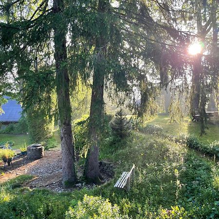 Liebevoll Eingerichtetes Ferienhaus Mit Grossem Garten 클라우슈탈젤러펠트 외부 사진