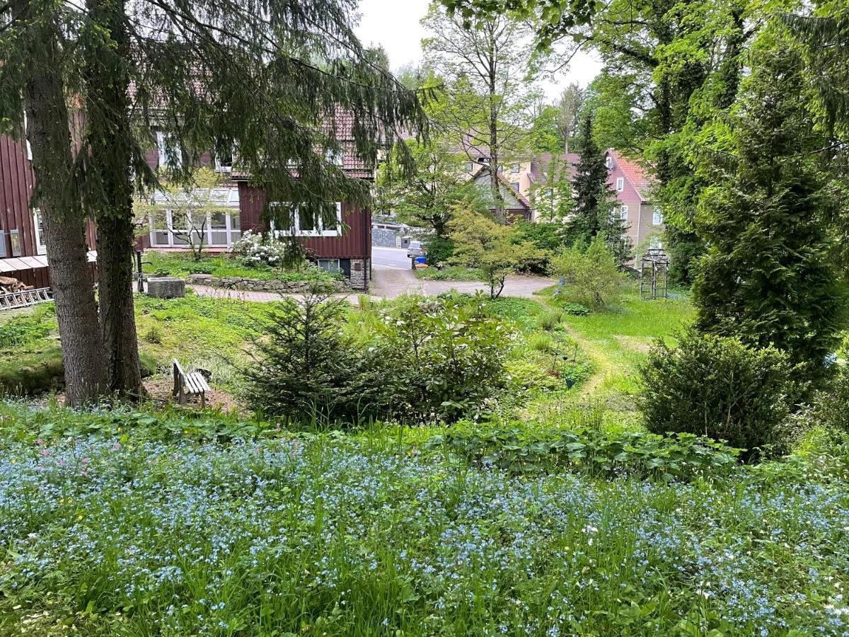 Liebevoll Eingerichtetes Ferienhaus Mit Grossem Garten 클라우슈탈젤러펠트 외부 사진