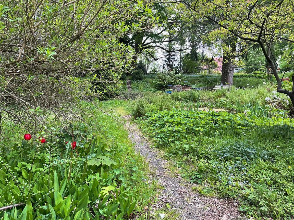 Liebevoll Eingerichtetes Ferienhaus Mit Grossem Garten 클라우슈탈젤러펠트 외부 사진